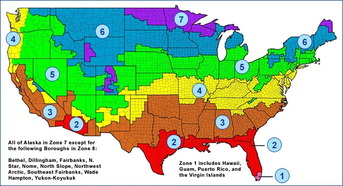 R-value map