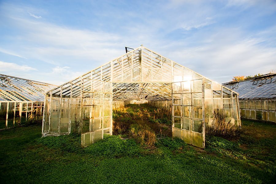 Greenhouse Plans