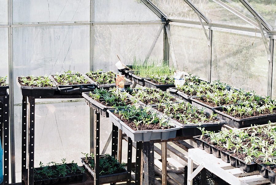 Greenhouse Siding