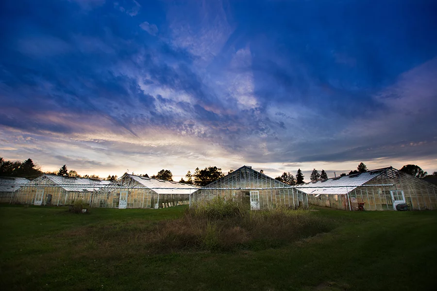 Industrial Greenhouse