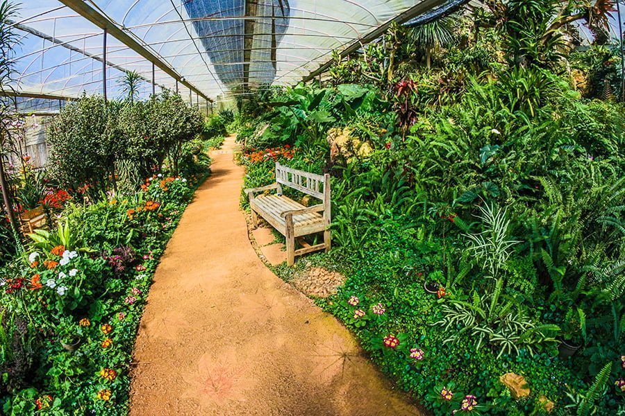 Year-Round Greenhouse