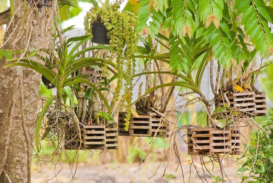 hanging planters