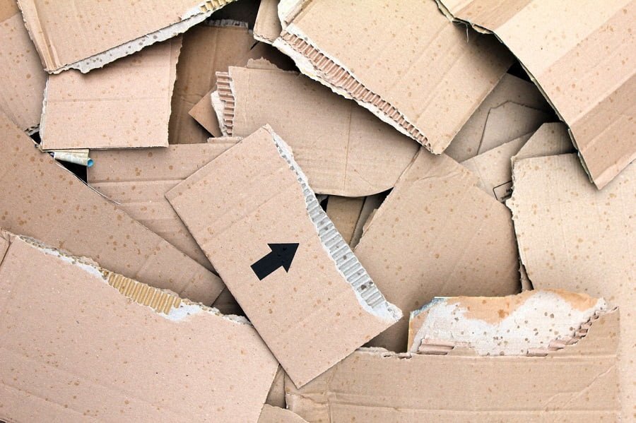 cardboard paper