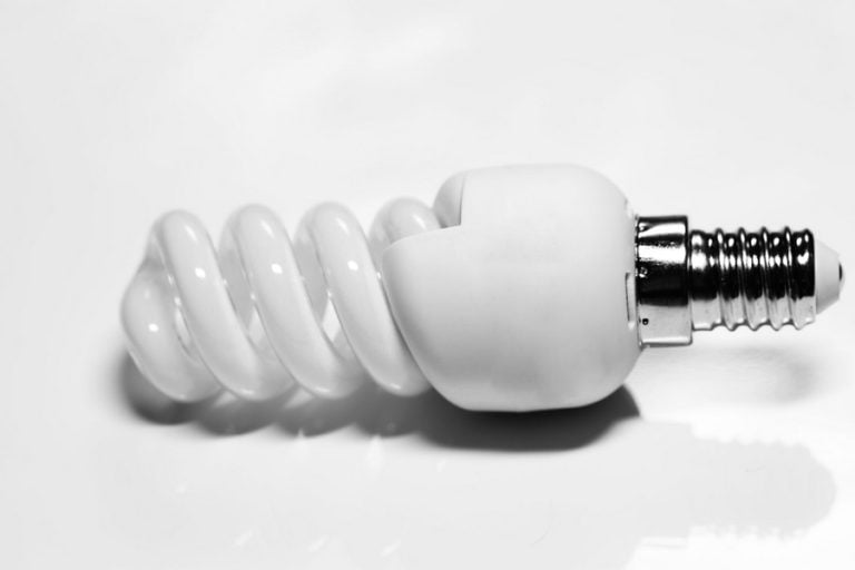 How to Dispose of Light Bulbs the Right Way