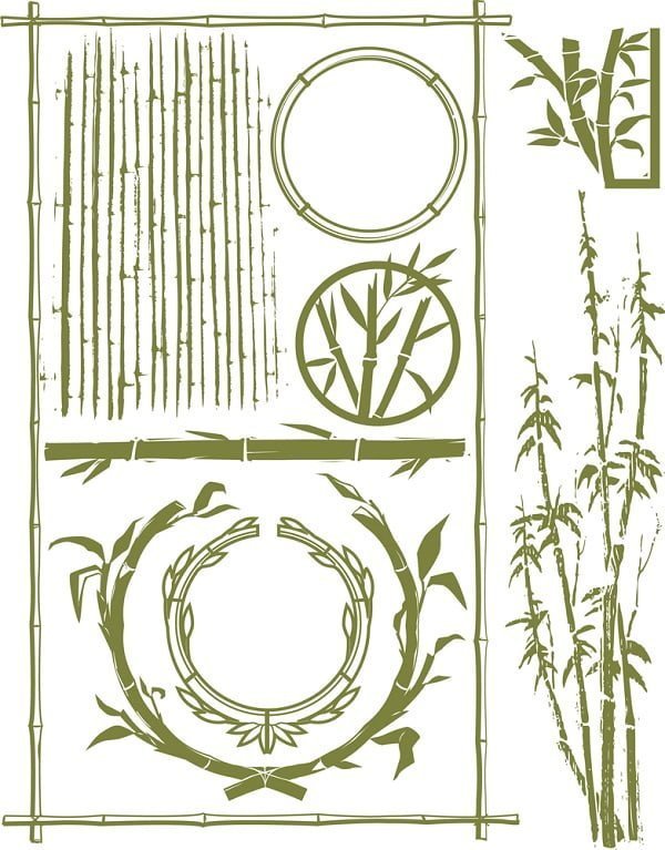types of bamboo