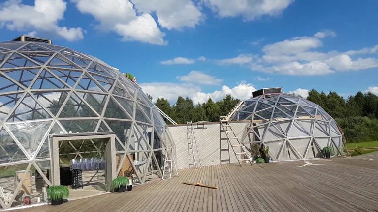 14 Geodesic Dome Greenhouse Ideas - All You Need to Know