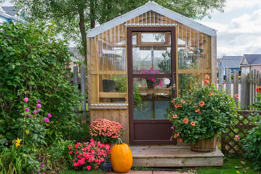 greenhouse gardening