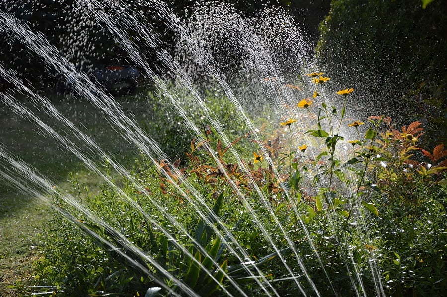 watering sprinklers