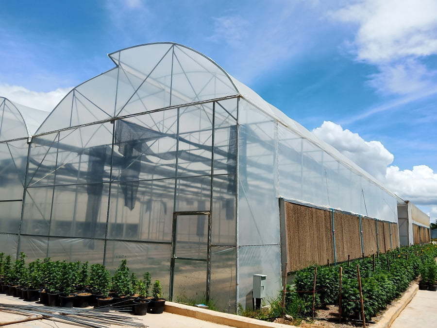 glass greenhouses