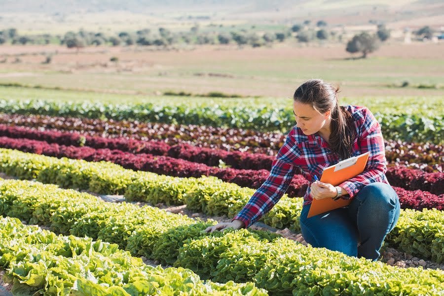 sustainable agroculture