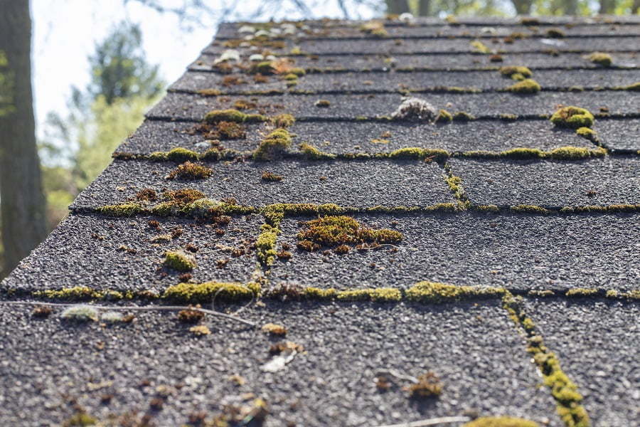 old roof