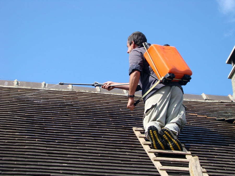 roof repair