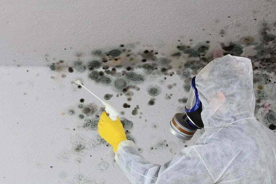 How To Deal With Mold Safely And Naturally