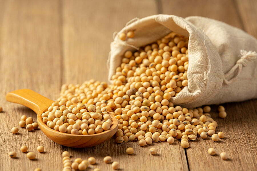 Bioplastics Soybean