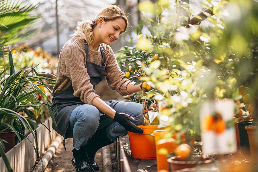 Mobile Home Landscape Edible Gardening