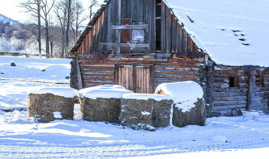 Straw Bales