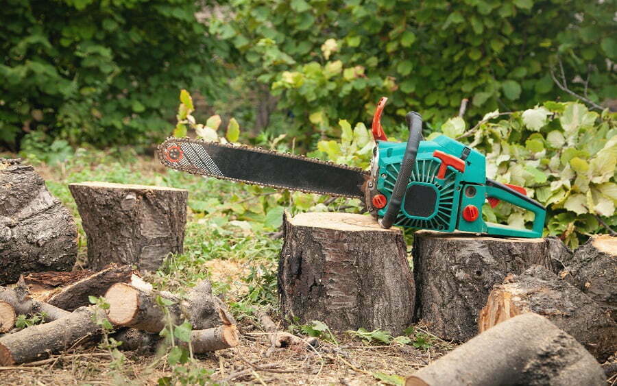 cutting trees