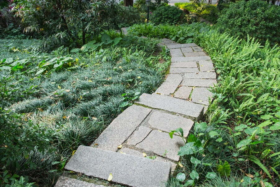 garden pathway