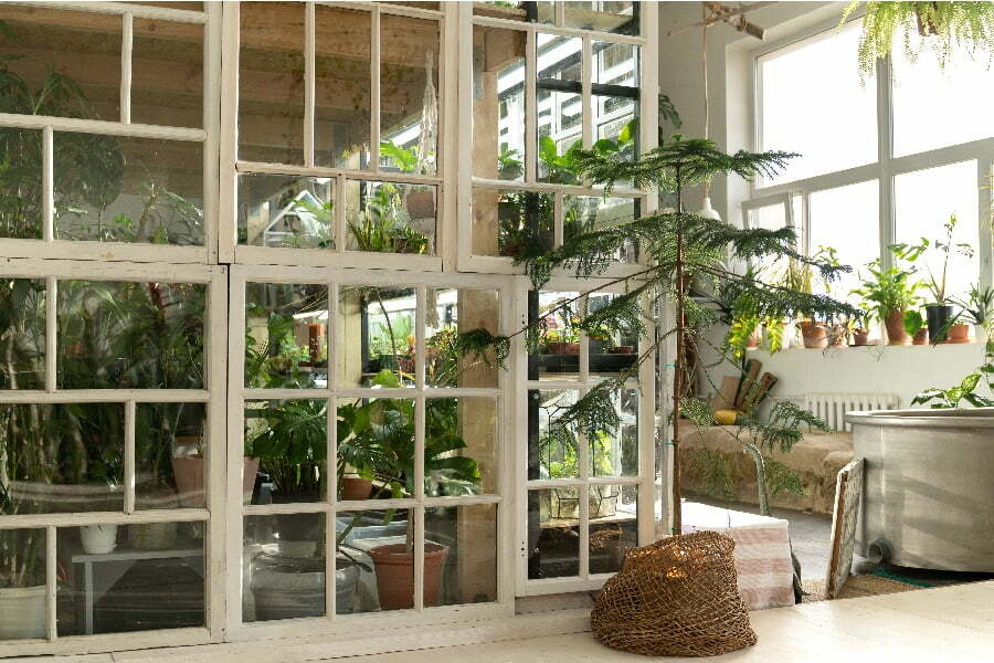 greenhouse windows