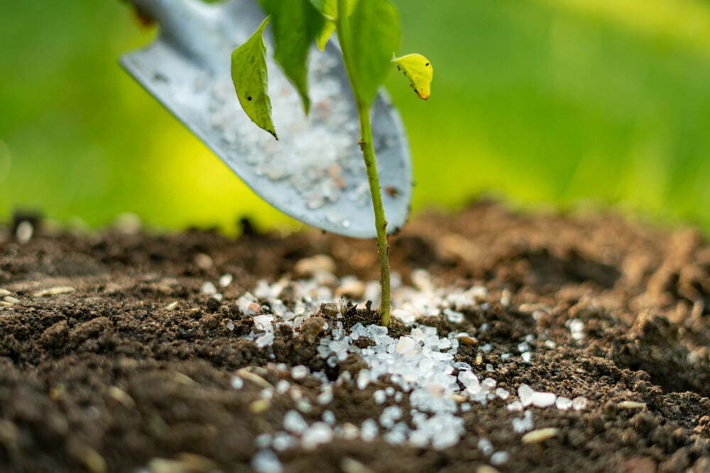 plant fertilizing