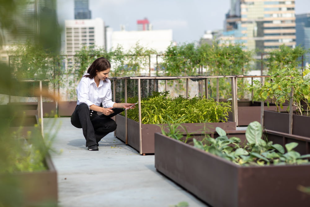 roof gardener