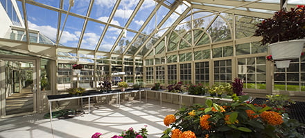 Solar Innovations Greenhouses prefab greenhouse
