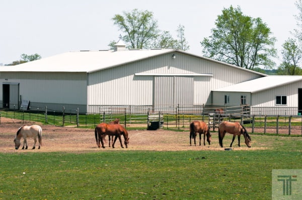 Prefabricated Metal Horse Barns Prefab Horse Barn