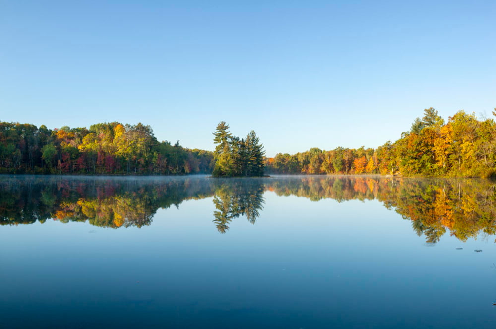 minnesota