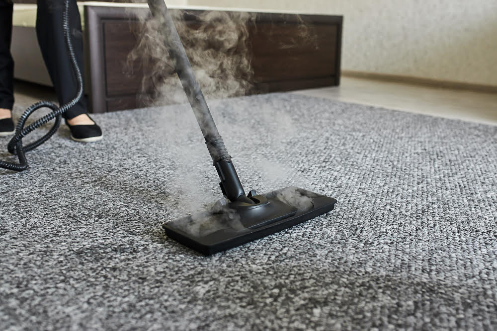 Choosing the Right Carpet Cleaner Machine