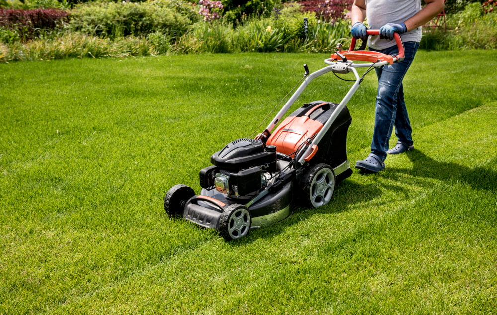 Mow Your Lawn Regularly