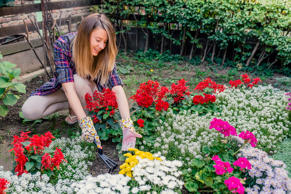 The Importance of Flower Gardens