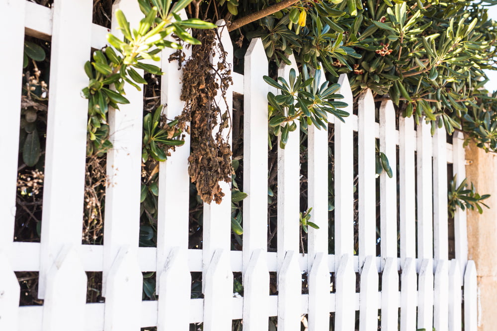 Understanding Sustainable Fencing