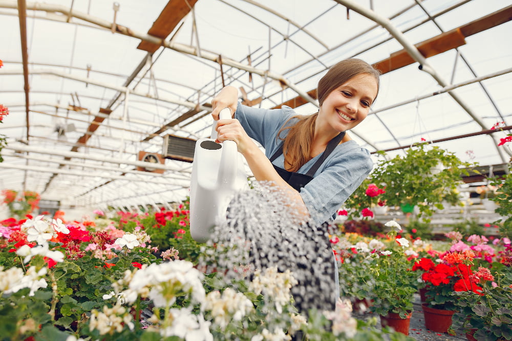 What Systems Can Be Installed in Solar Greenhouses?