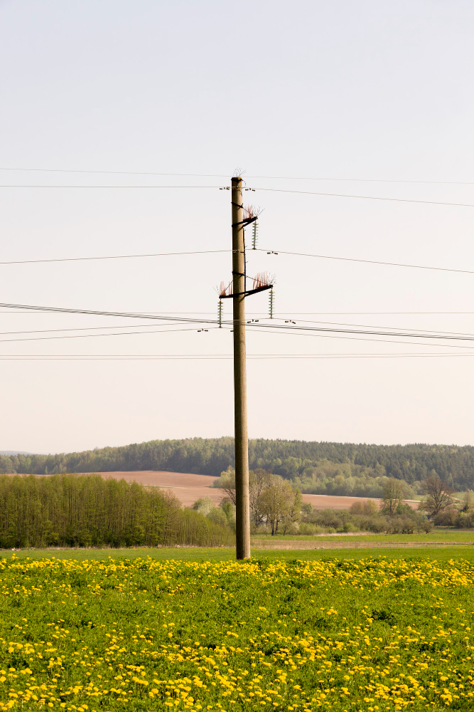 Benefits of Installing Eco-friendly Utility Poles