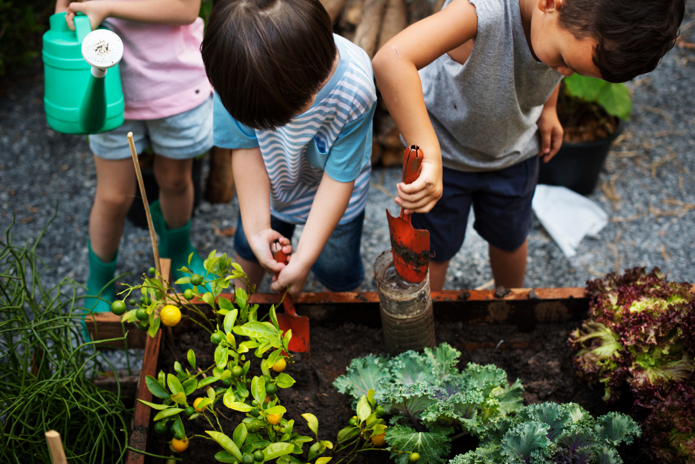 Promotes Food Literacy