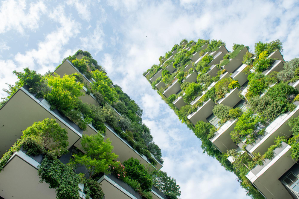 The Environmental Impact of Green Construction