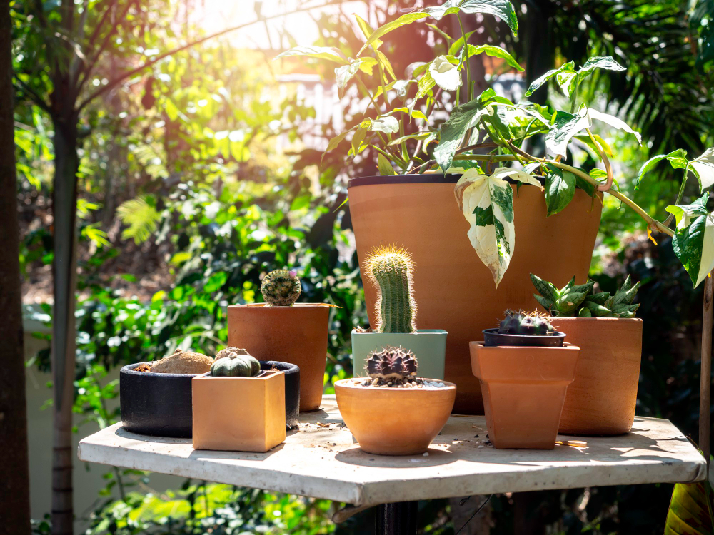 Choose Quality Pots and Planters