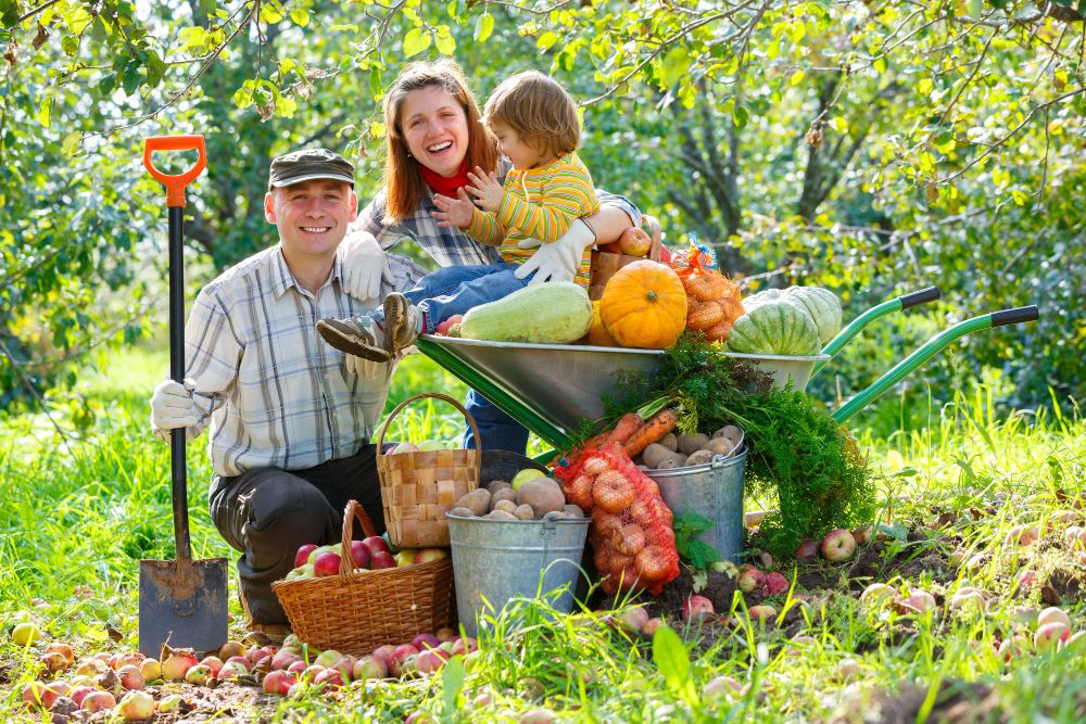 Develop Self-Sustaining Food Sources