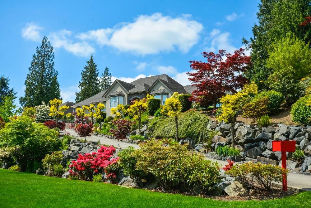 Landscaping and Curb Appeal