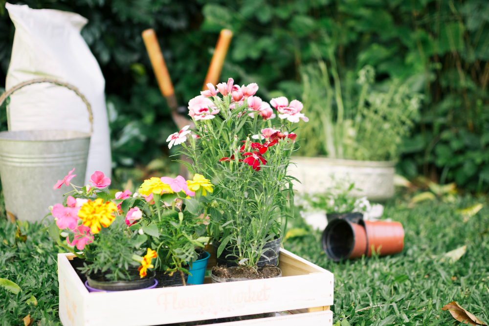 Selecting Suitable Plants for Your Mobile Home Garden