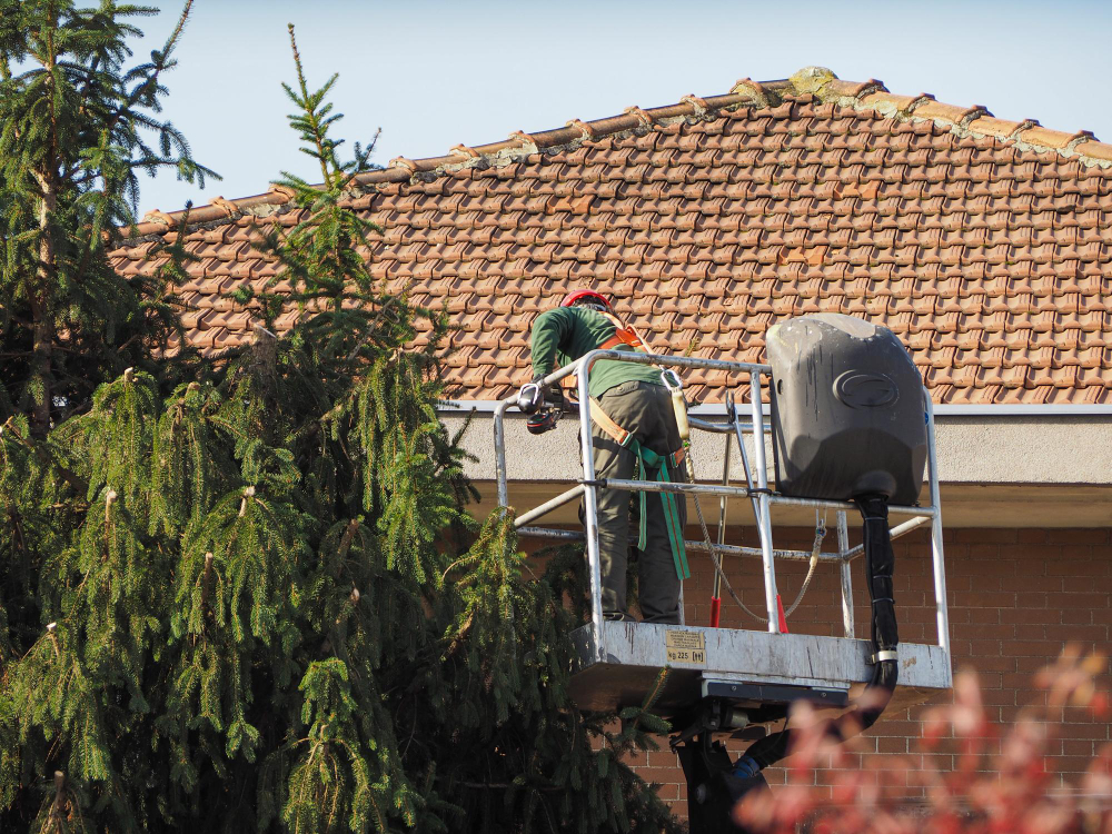 Trim Overhanging Branches