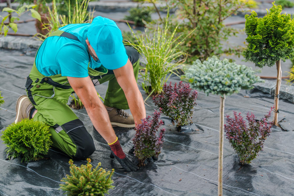 Turn to Landscaping Experts for Advice