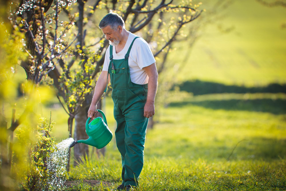 Watering Your Trees Effectively