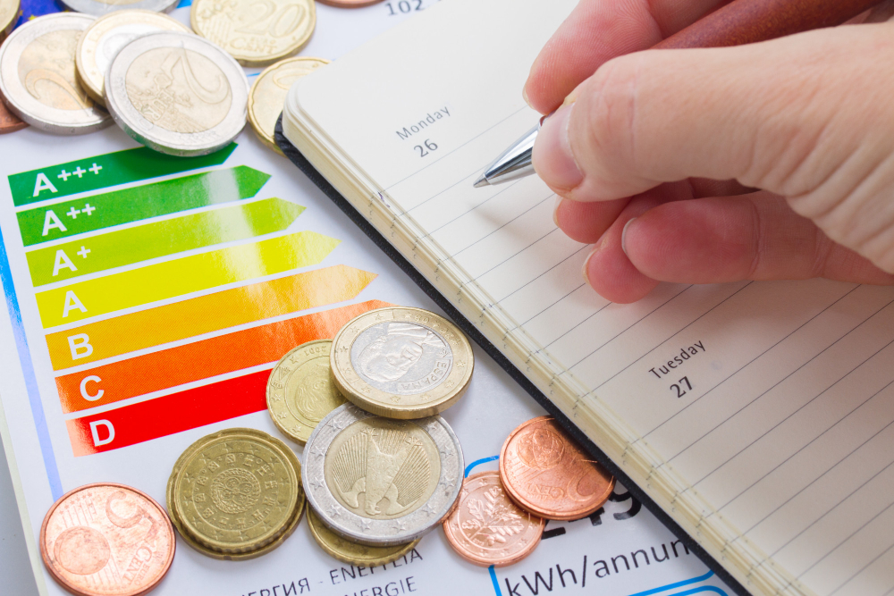 Assess Your Energy Costs and Needs
