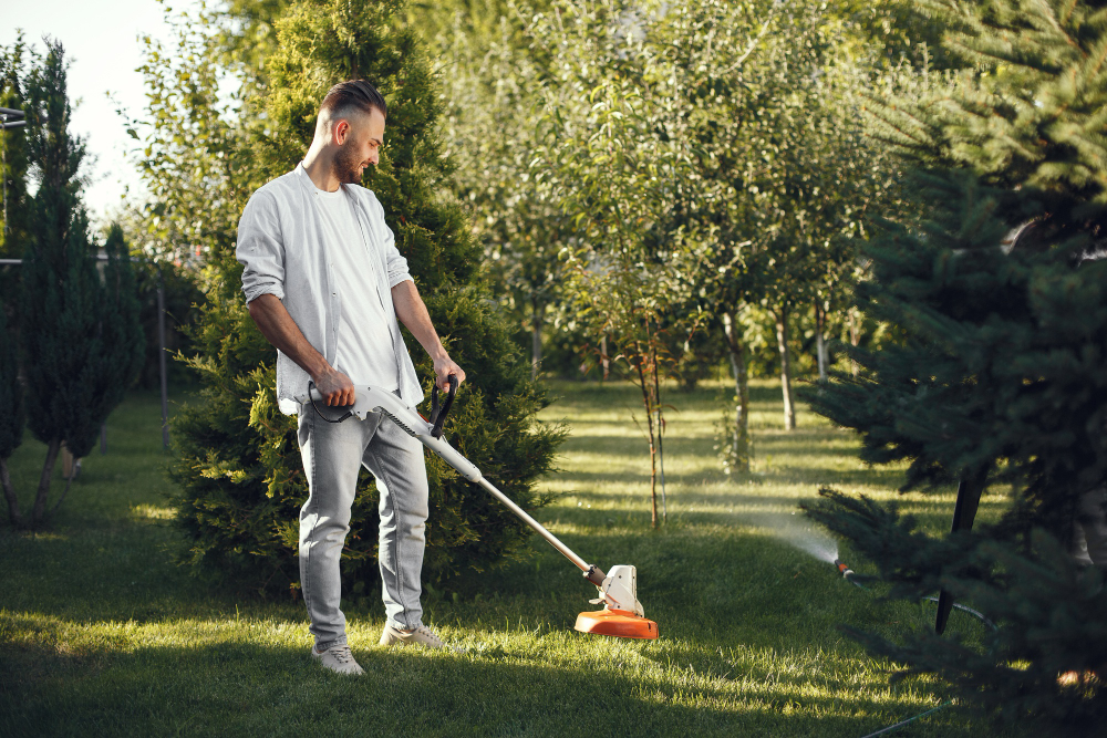 Get Rid of Weeds in Your Yard