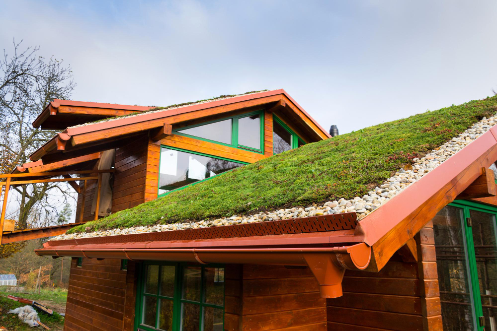 Green Roofs: Nurturing Nature Atop Your Home