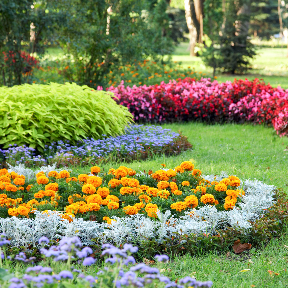 Plant Some Flowers or Shrubs to Add Color and Life to Your Lawn