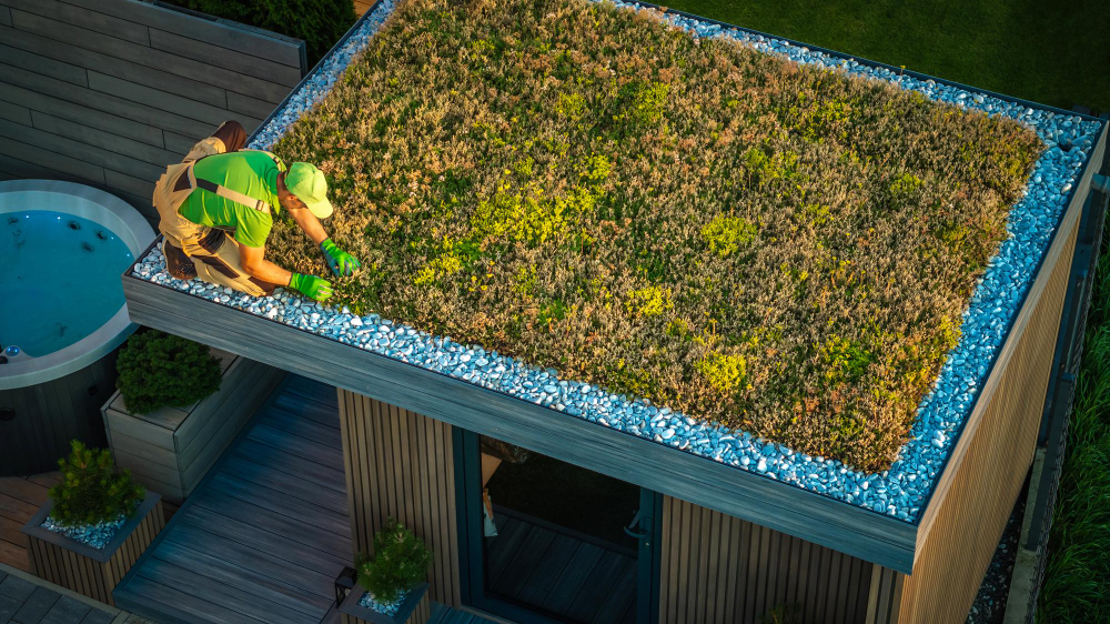 Tips on Installing and Maintaining a Green Roof