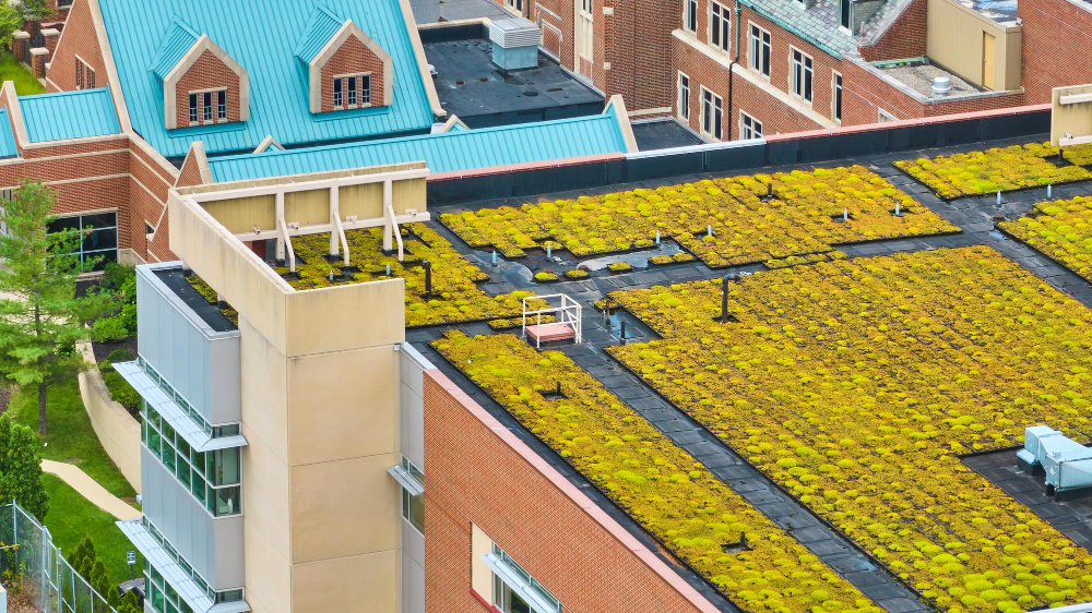 The Rise of Green Roofing