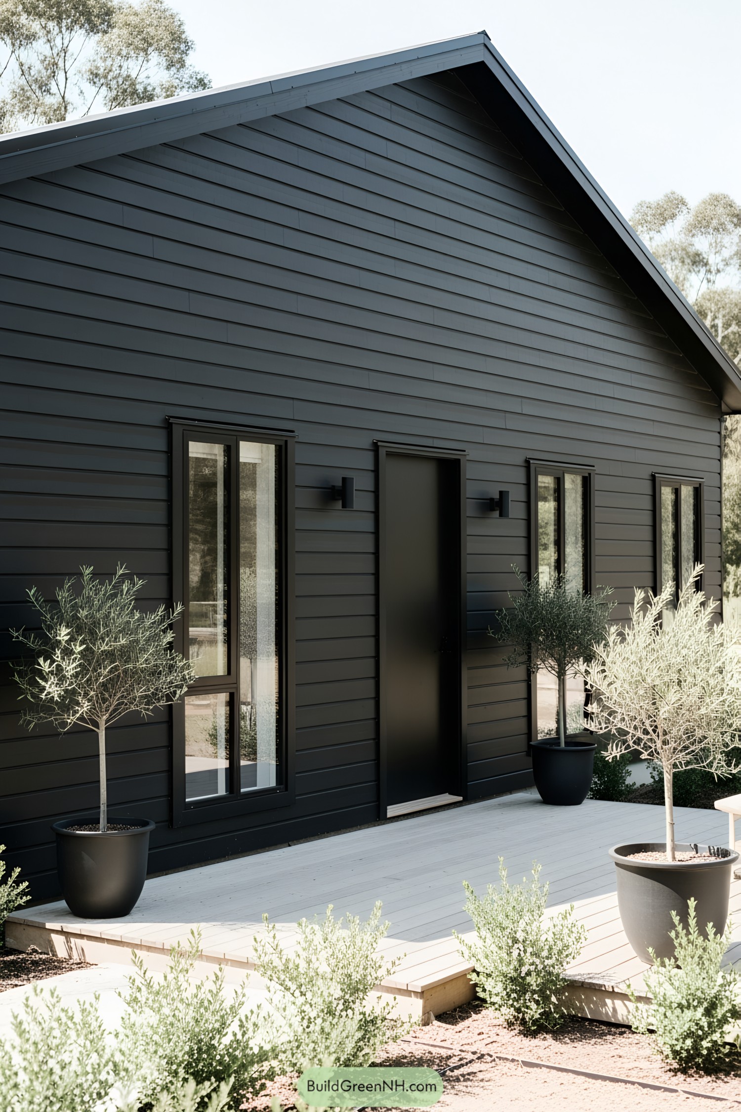 Minimalist black ranch house with potted plants outside